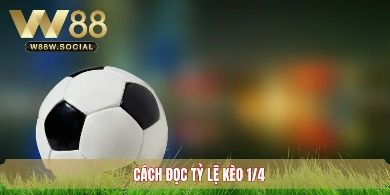 Kèo ¼ - Tìm Hiểu Về Hình Thức Cược Bóng Đá Phổ Biến 3 Cách đọc tỷ lệ kèo chấp 1/4