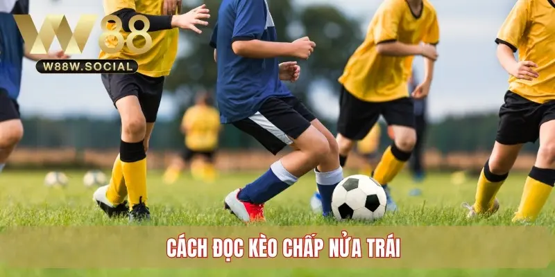 Kèo Chấp Nửa Trái - Kiến Thức Cá Cược Bóng Đá Bạn Cần Biết 3 Cách đọc tỷ lệ cược chấp nửa trái trong bóng đá