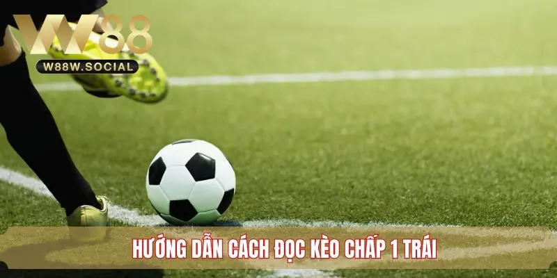 Hướng Dẫn Cách Đọc Kèo Chấp 1 Trái Trong Cá Độ Bóng Đá 3 Chỉ dẫn cách đọc kèo chấp 1 trái