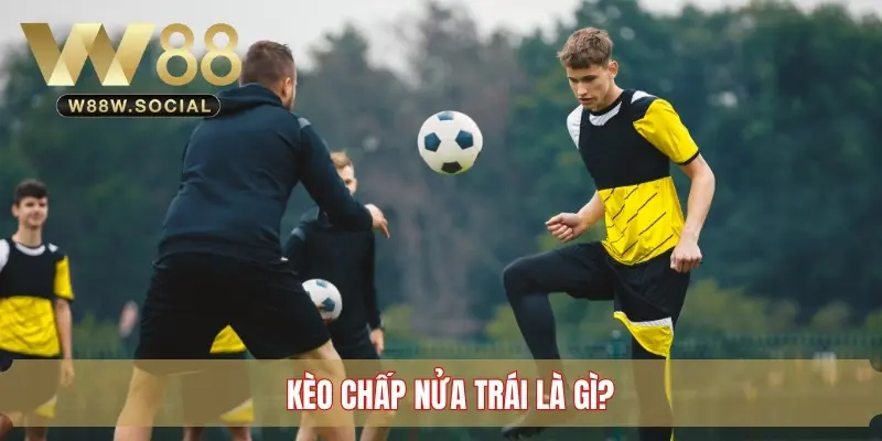 Kèo Chấp Nửa Trái - Kiến Thức Cá Cược Bóng Đá Bạn Cần Biết 2 Kèo chấp nửa trái được hiểu là gì?