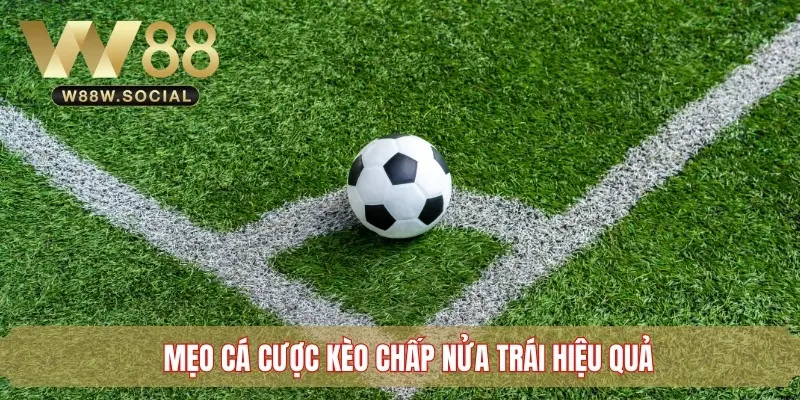 Kèo Chấp Nửa Trái - Kiến Thức Cá Cược Bóng Đá Bạn Cần Biết 4 Mẹo cá cược kèo chấp nửa trái hiệu quả