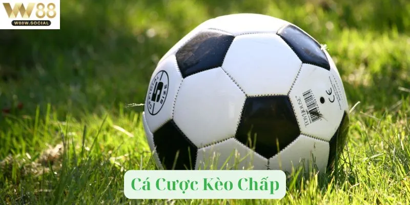 Cá Cược Kèo Chấp Kinh Điển Trong Nhiều Bộ Môn Thể Thao 3 Kèo chấp trong thể thao