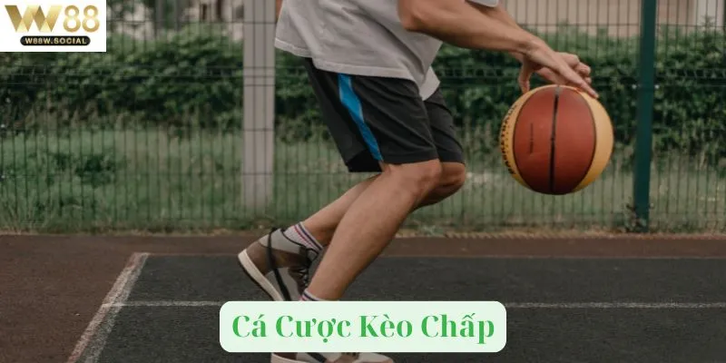 Cá Cược Kèo Chấp Kinh Điển Trong Nhiều Bộ Môn Thể Thao 4 Mẹo cược kèo chấp