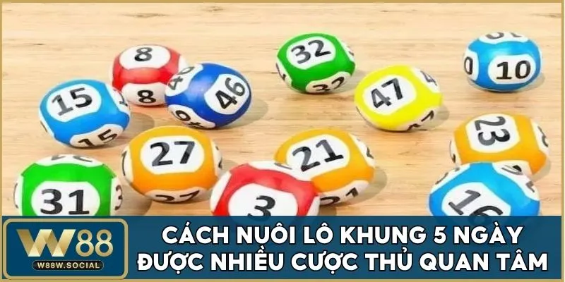 Hướng dẫn cách nuôi lô khung 5 ngày từ chuyên gia